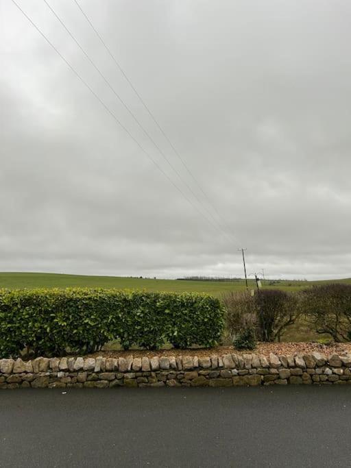 Daffodil Lodge Cockermouth Εξωτερικό φωτογραφία